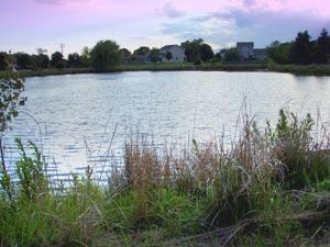 Colony Lakes east pond at sunset